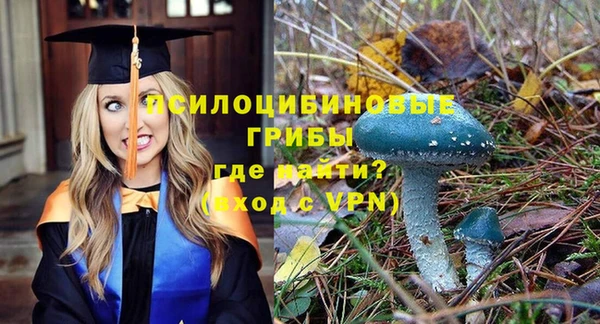 ешки Тутаев
