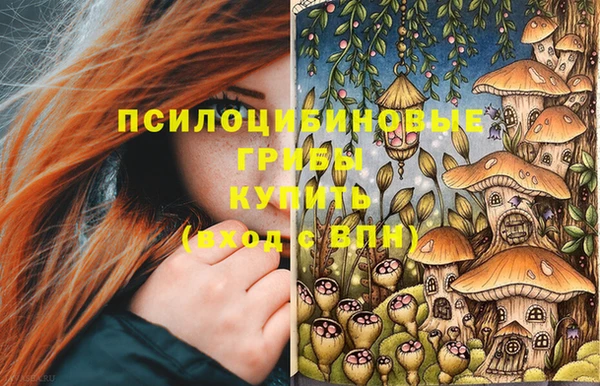 ешки Тутаев