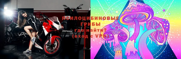 ешки Тутаев