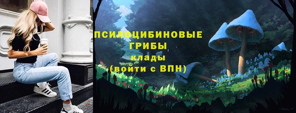ешки Тутаев