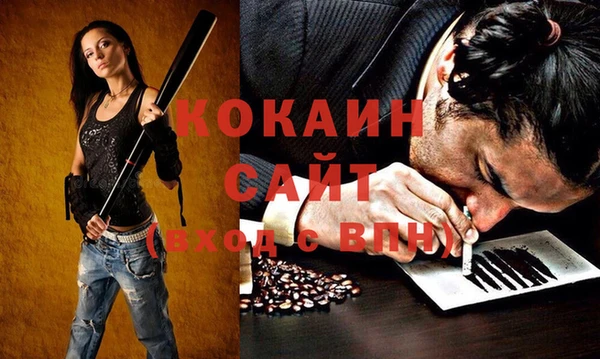 соль ск Тында