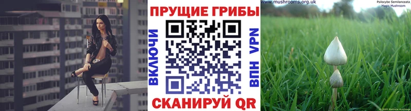 наркотики  KRAKEN tor  Псилоцибиновые грибы GOLDEN TEACHER  Ялта 