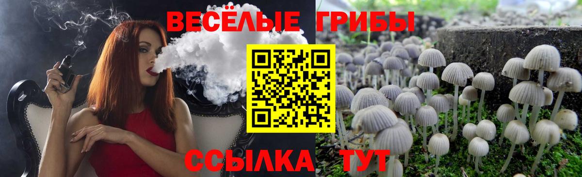 Ялта  Псилоцибиновые грибы Psilocybe  Вход с VPN 